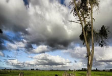 俱乐部风雨十日：战绩不佳、教练离任与球员调整的背后