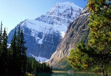 运动员备战阵容强大，冲刺金牌