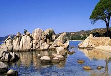 战火再燃，中国选手崭露头角，英姿飒爽，斩获金牌